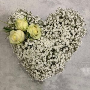 Gyp Heart Loose Pad