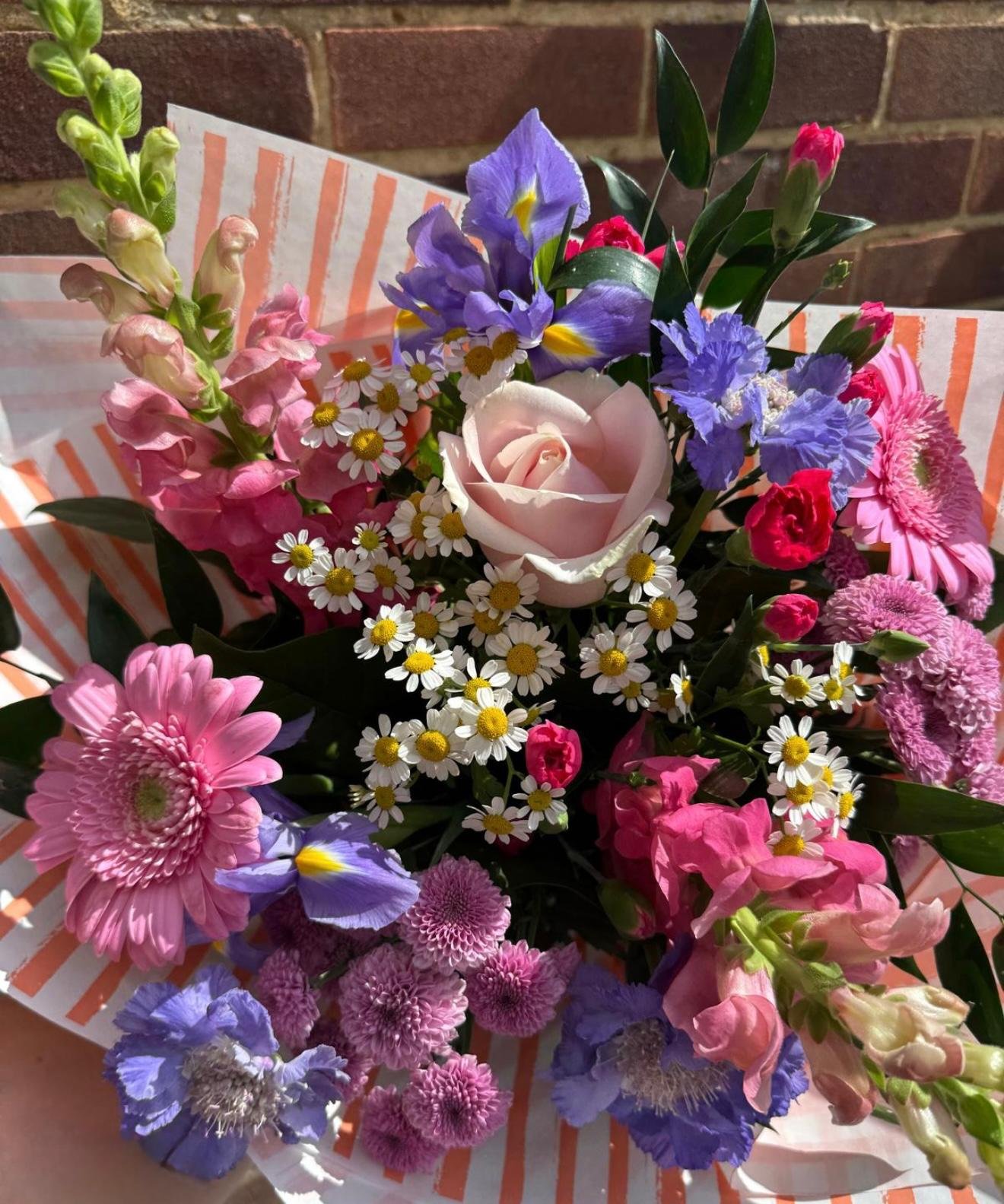 Petal Pop